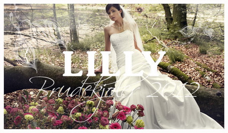 lilly-brautmode-2014-66-6 Lilly brautmode 2014