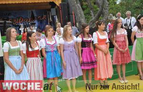 steirisches-dirndl-11_14 Steirisches dirndl